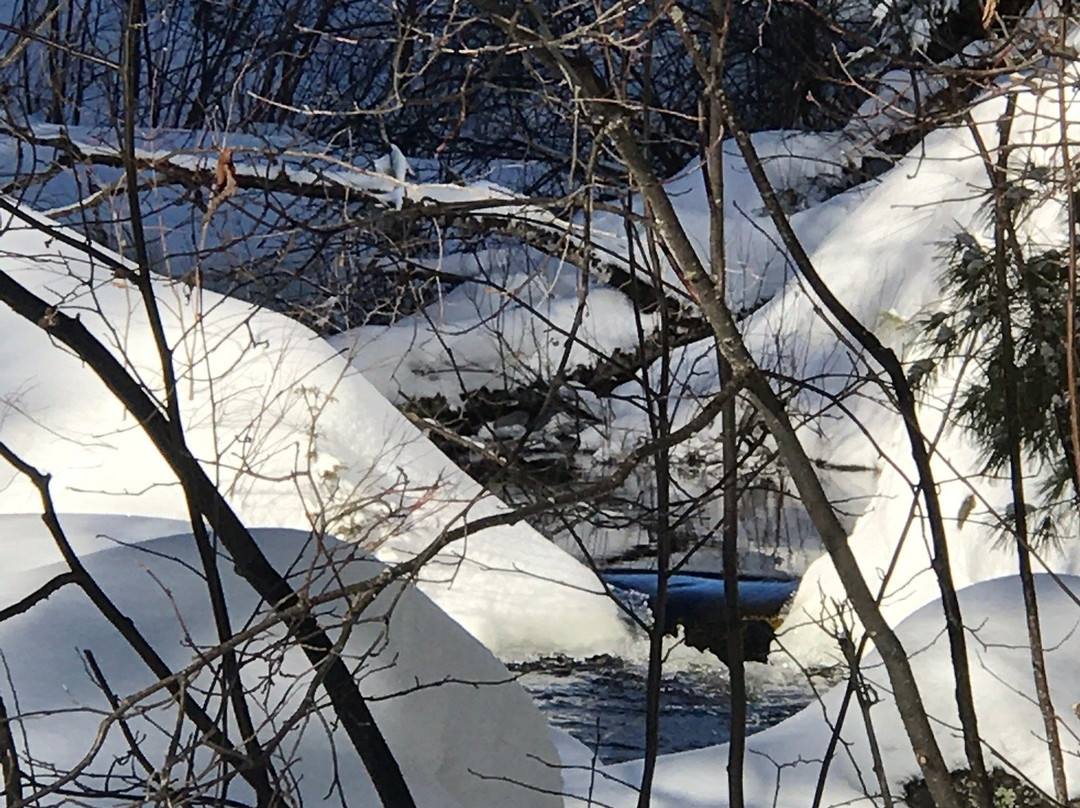 Bass Lake Trail-伊利必去景点