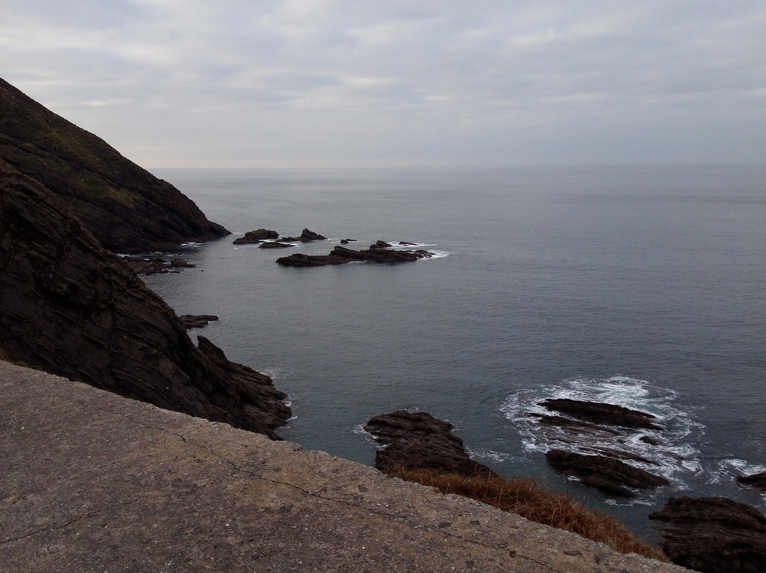 Playa De Bakio景点图片