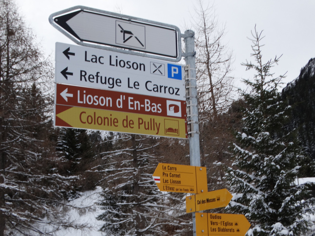 Hotel Le Relais Alpin主图