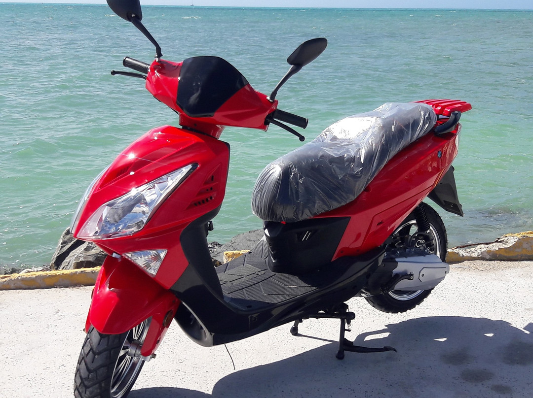 Anegada Amazing Rentals-Anegada必去景点