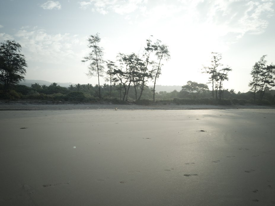 Kashid Beach Resort主图