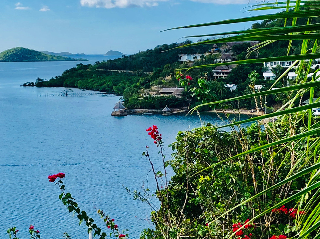 巴拉望阿尔法洛哥斯米奥酒店主图