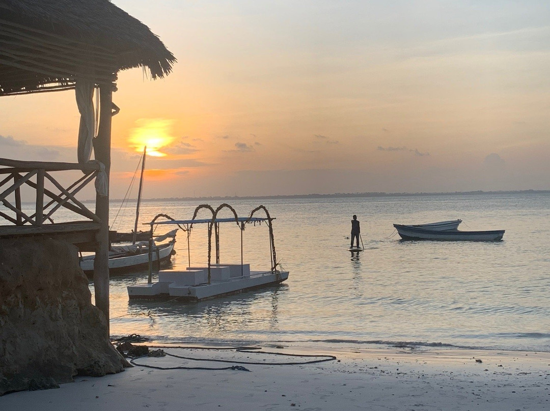 SURF Zanzibar景点图片