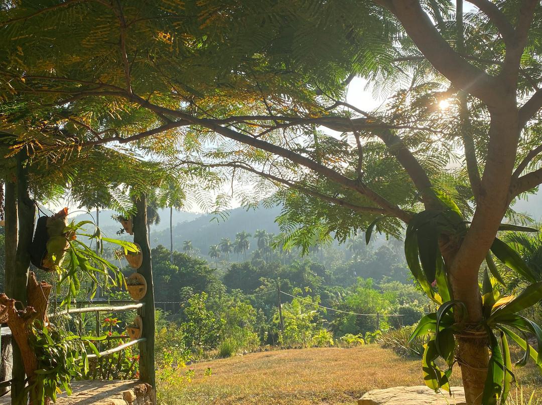 Finca Excelencia-Soroa必去景点