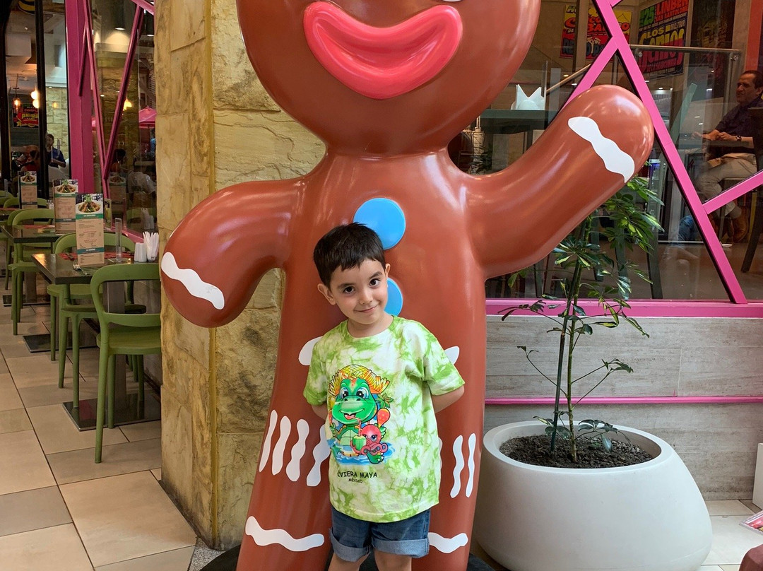 Mall Zofri-伊基克必去景点