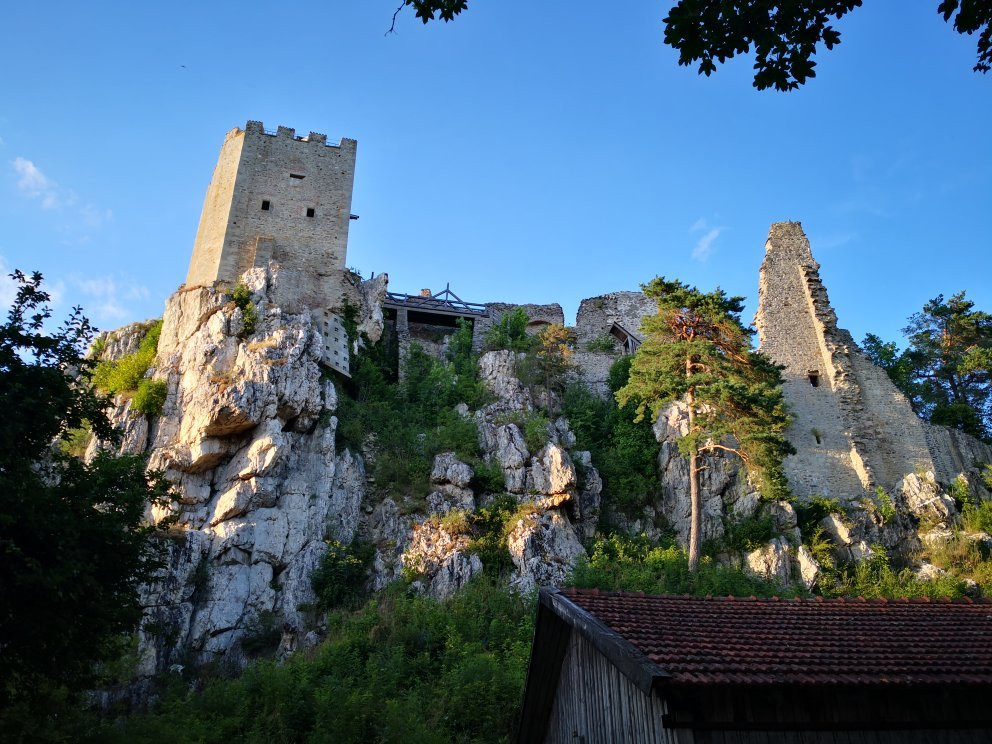 Burg Weissenstein景点图片