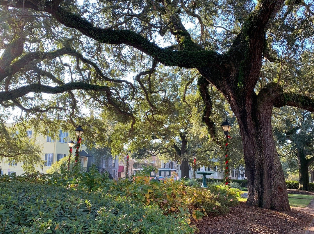 Oglethorpe Square景点图片