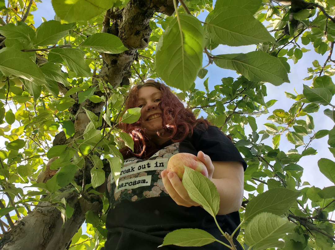 Lynd's Fruit Farm-Pataskala必去景点