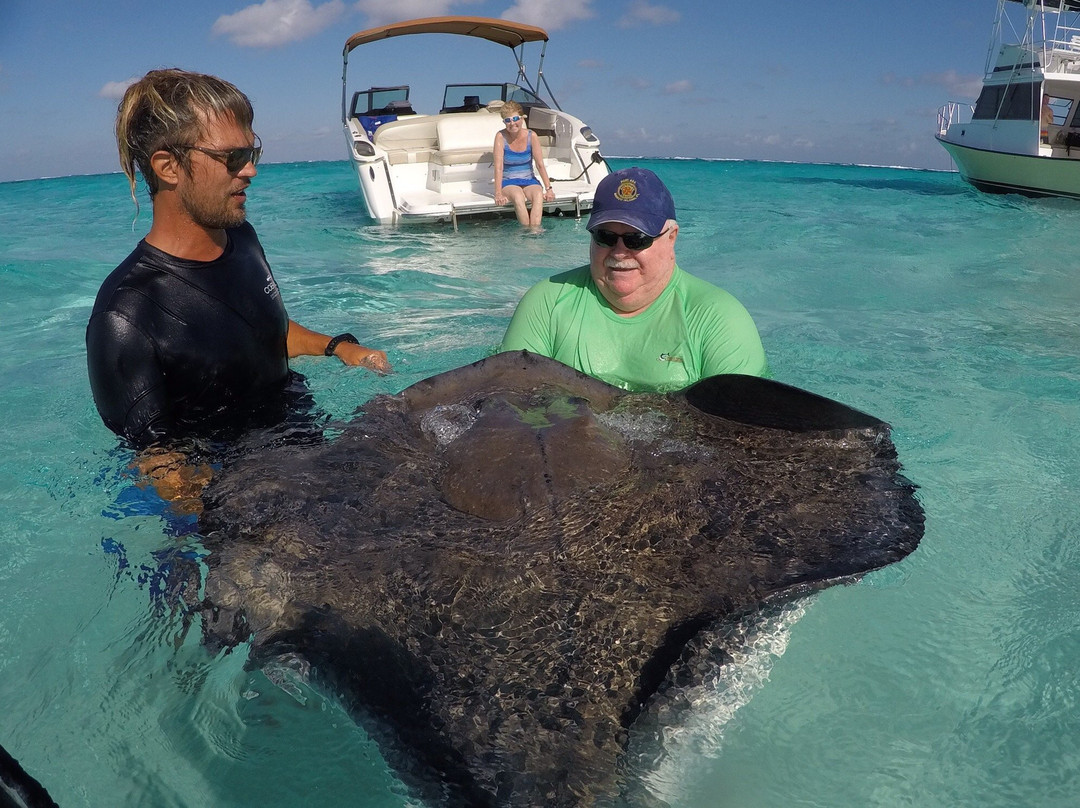 Cobalt Custom Charters-乔治城必去景点