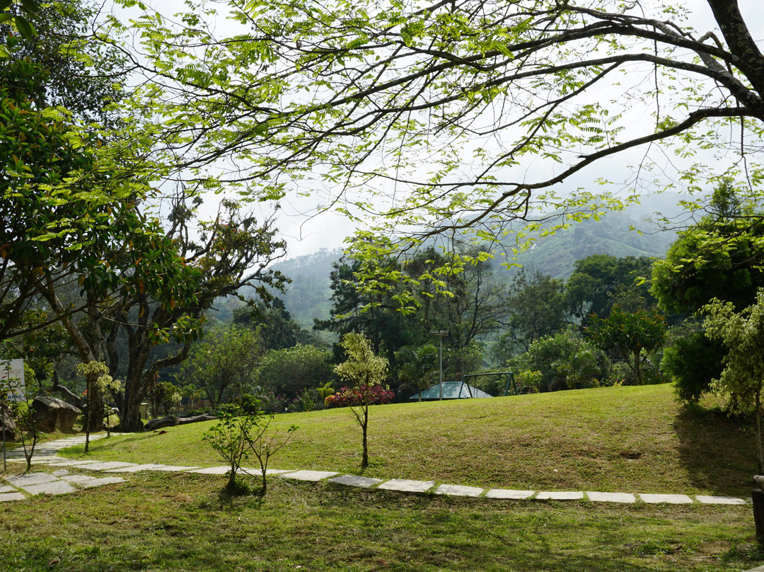 Blossom Hydel Park景点图片