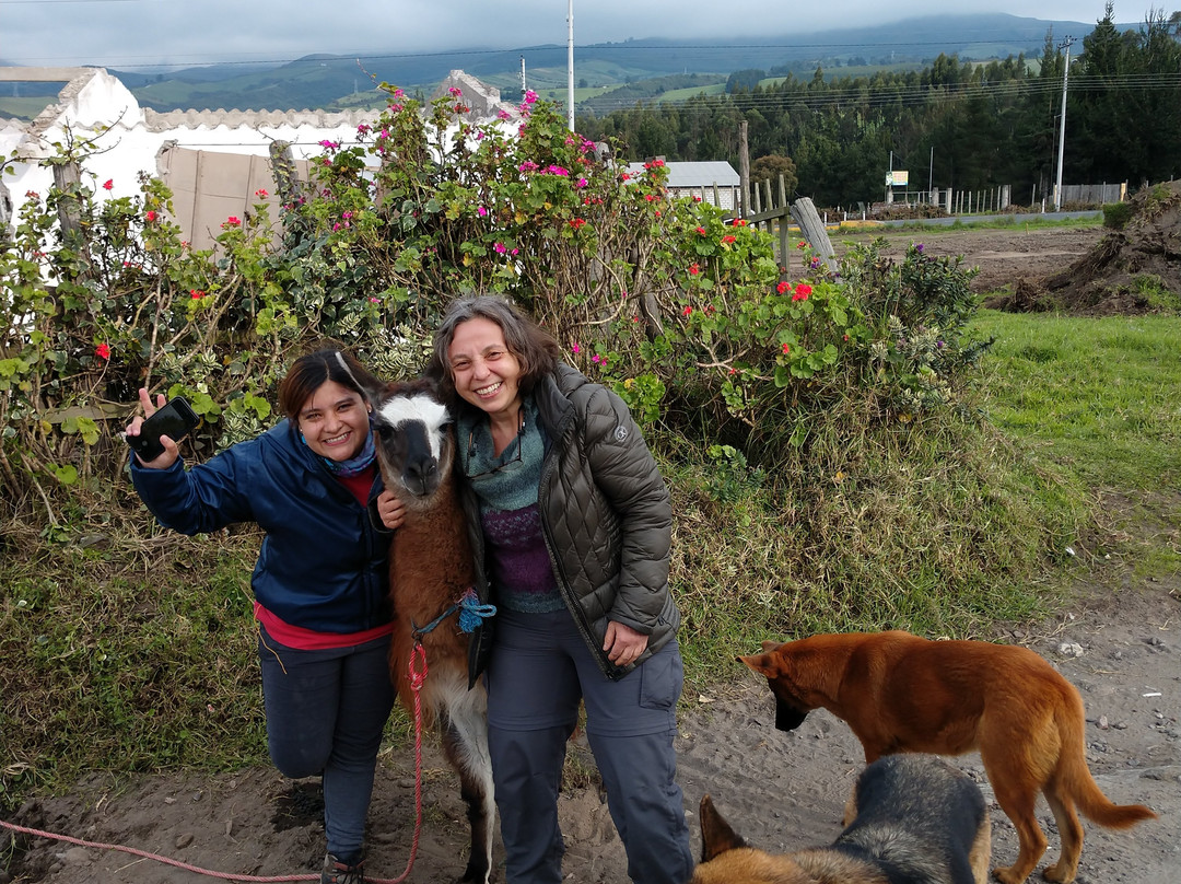 Cotopaxi National Park-Cotopaxi Province必去景点