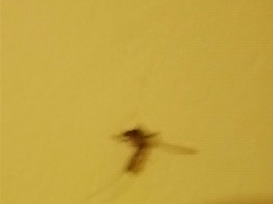 Hostal Huacachina Sunset主图