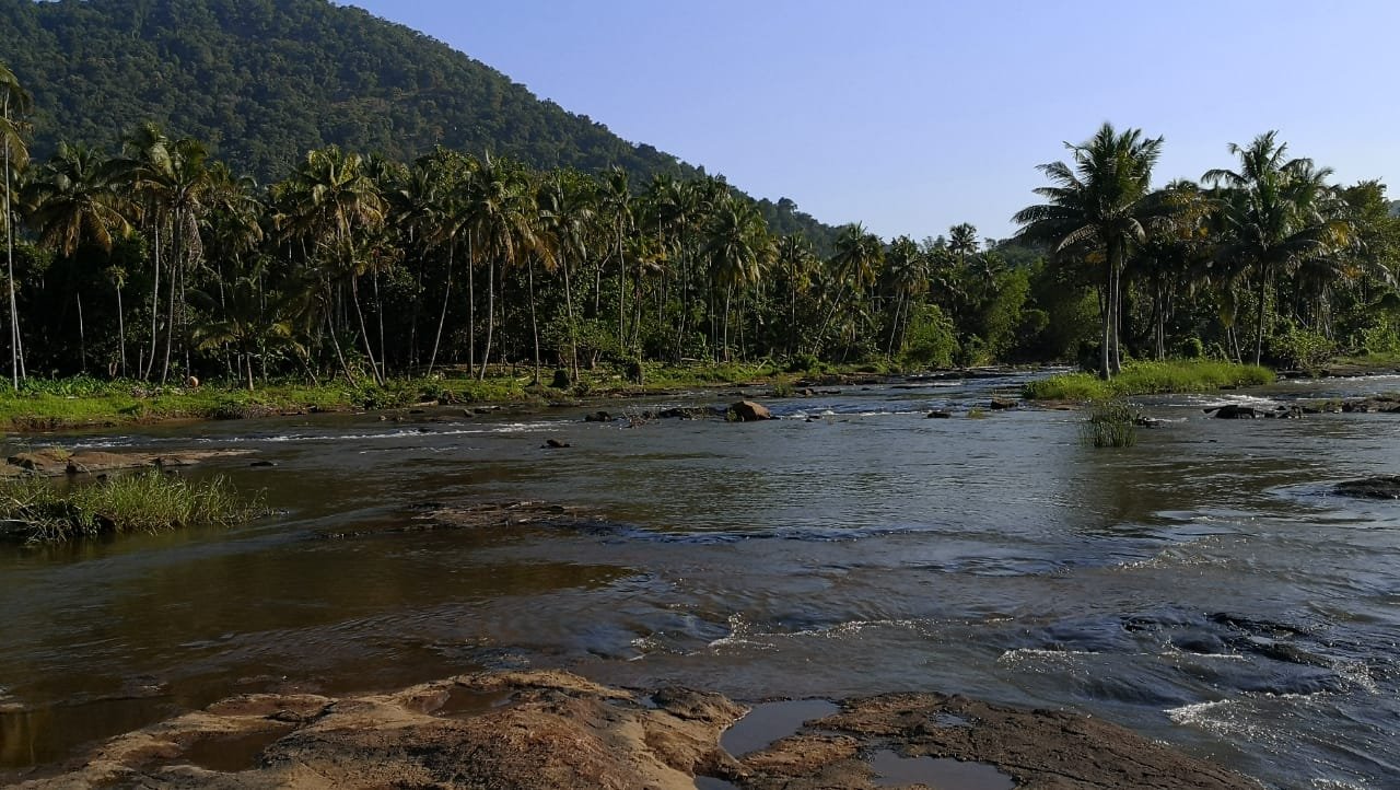 The Anchorage Athirapilly Resort-官方