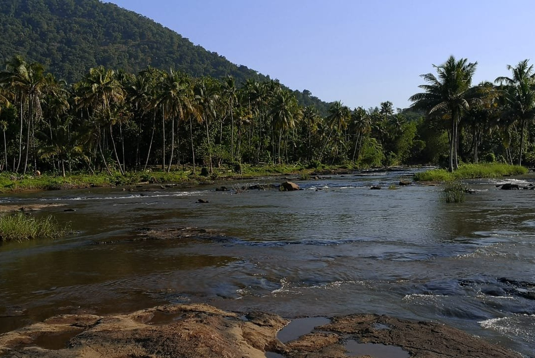 The Anchorage Athirapilly Resort主图