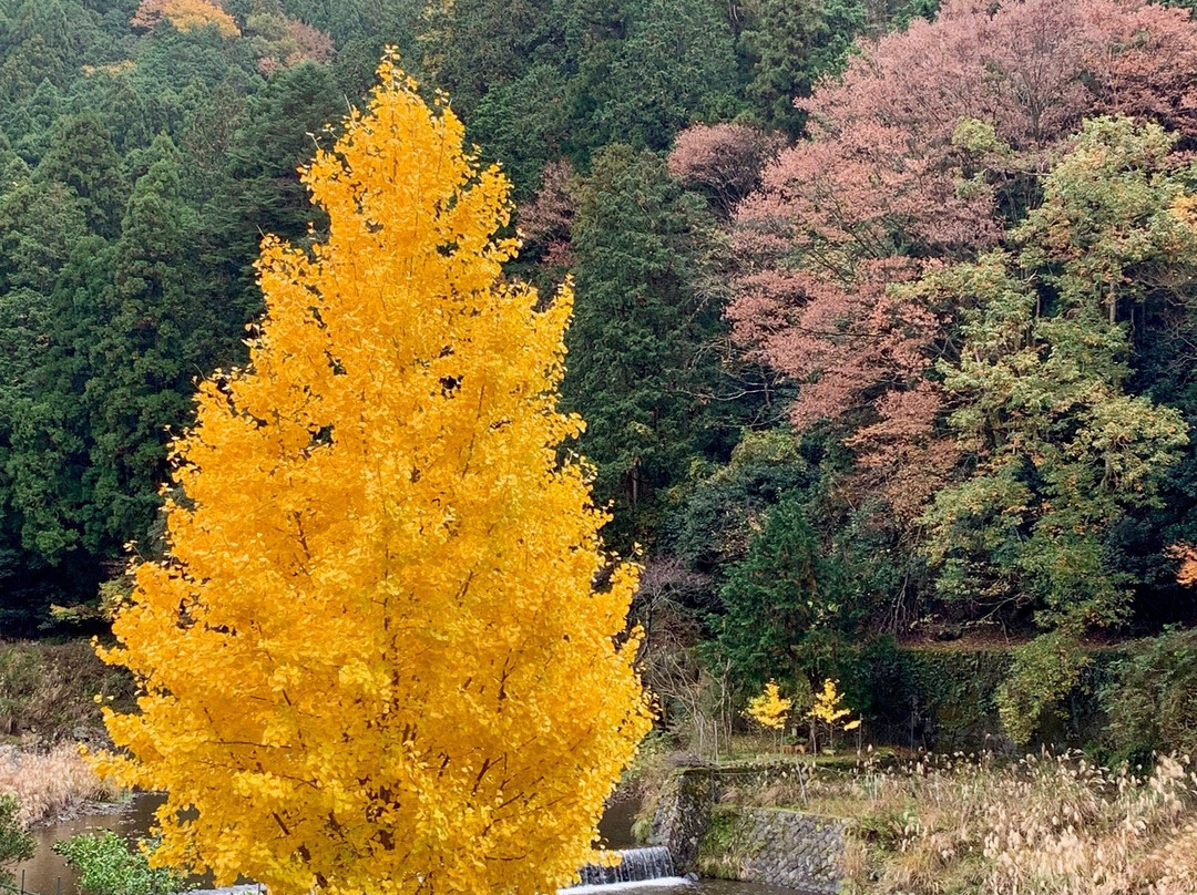 Kyoto Adventures-京都市必去景点