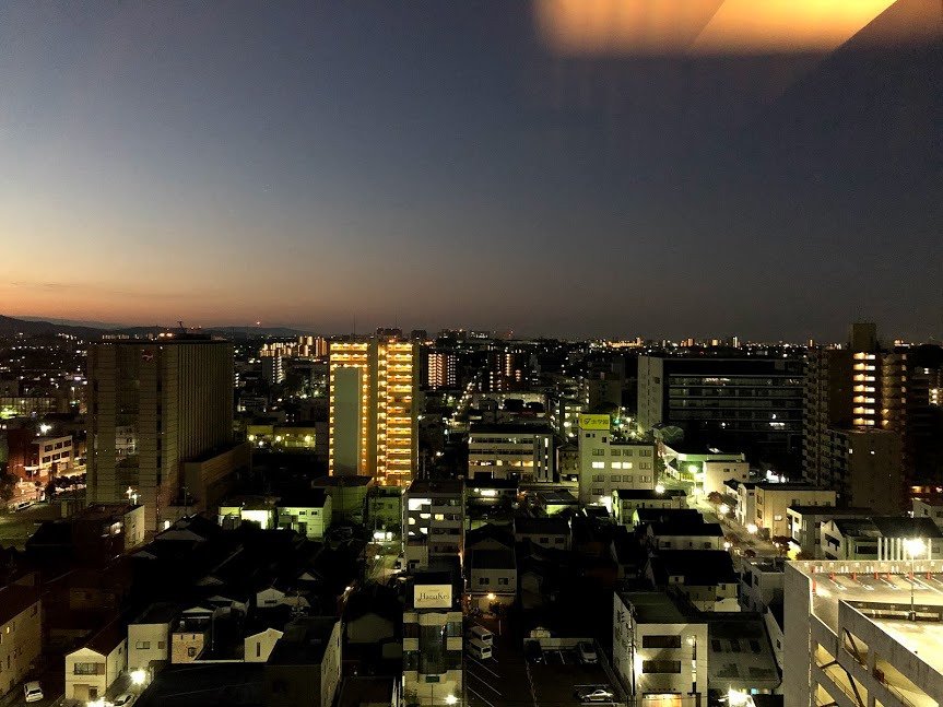 Hotel Toyota Castle-酒店景观