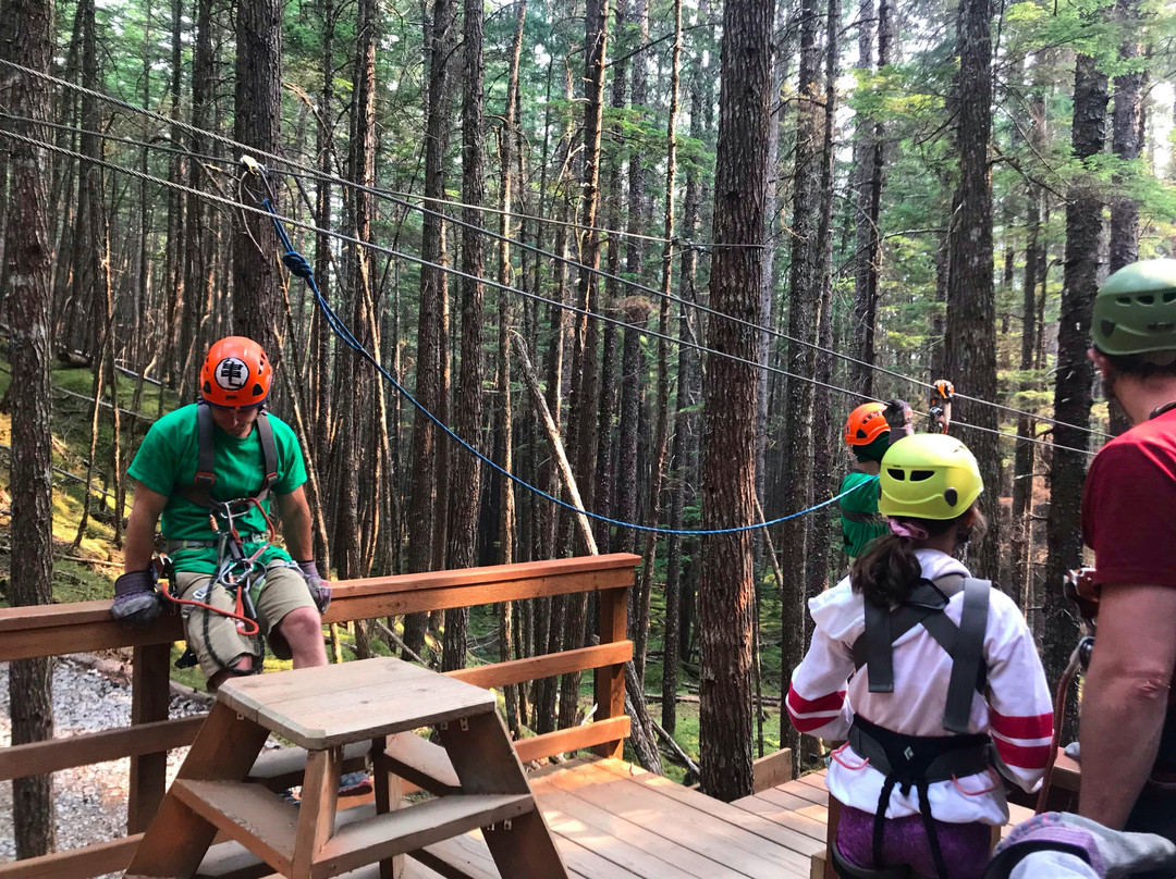 Grizzly Falls Ziplining Expedition景点图片