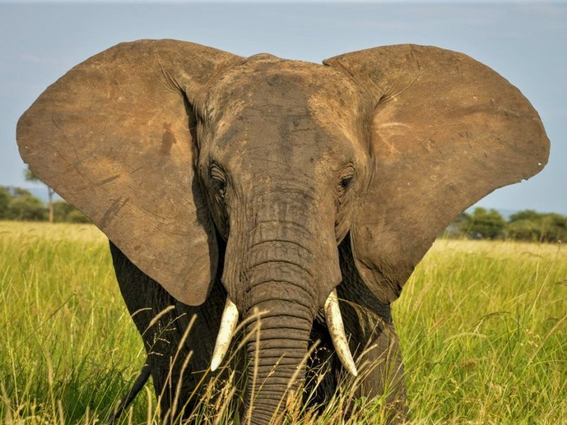 Zepisa African Safaris-Iringa必去景点