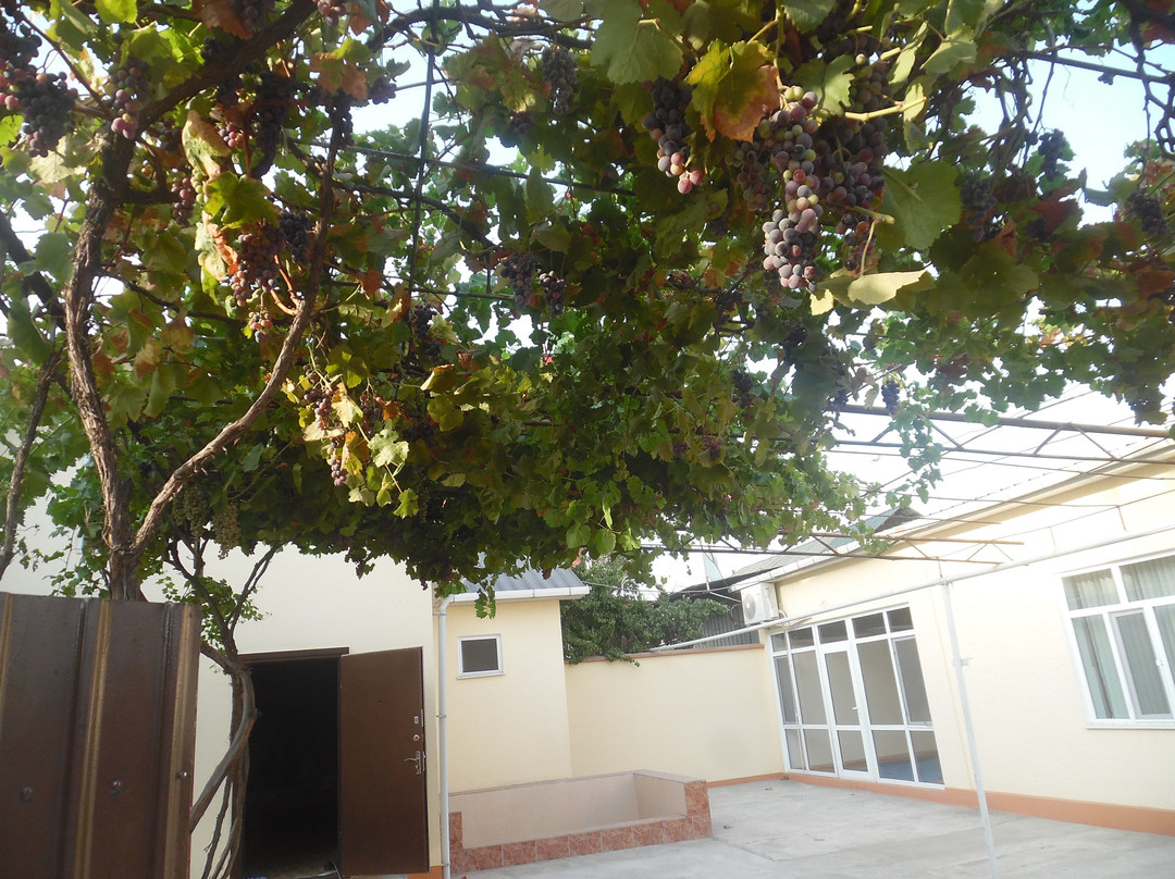 Seventh-day Adventist Church-杜尚别必去景点