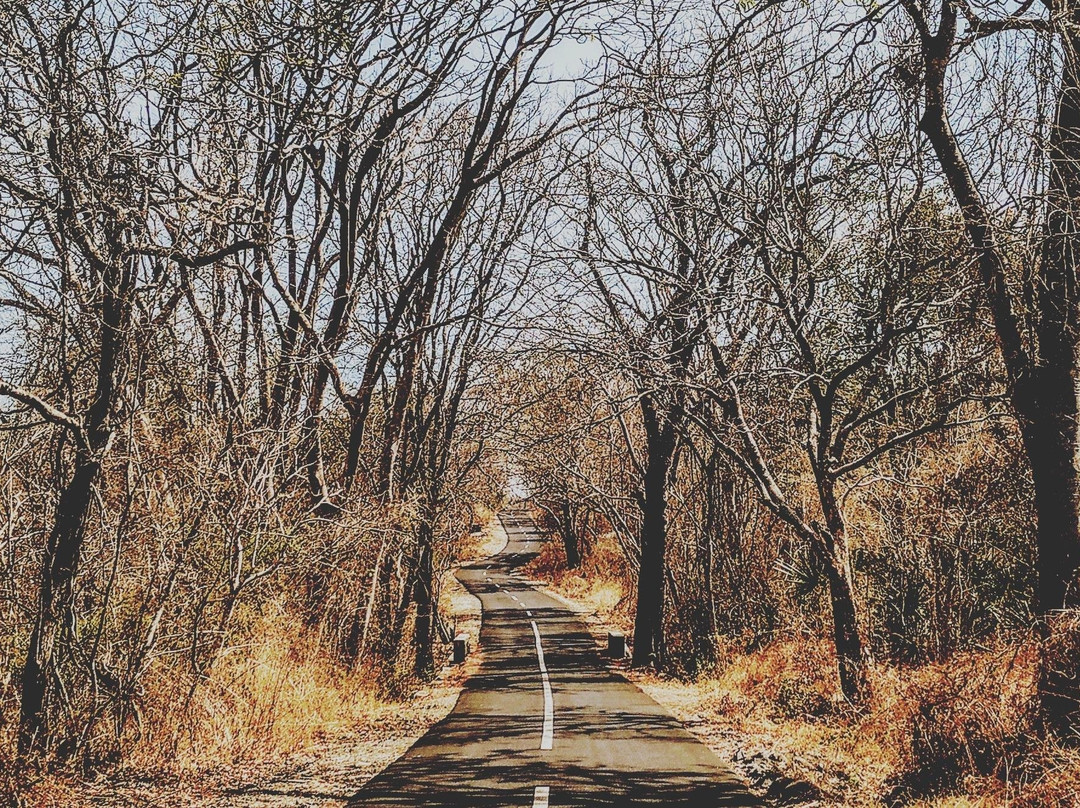 tripvanjava-巴纽旺宣必去景点