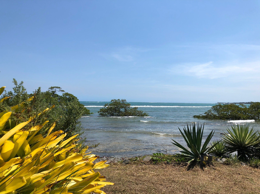 Penha Beach景点图片