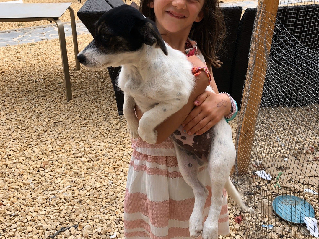 Abeniss Boutique B&B主图