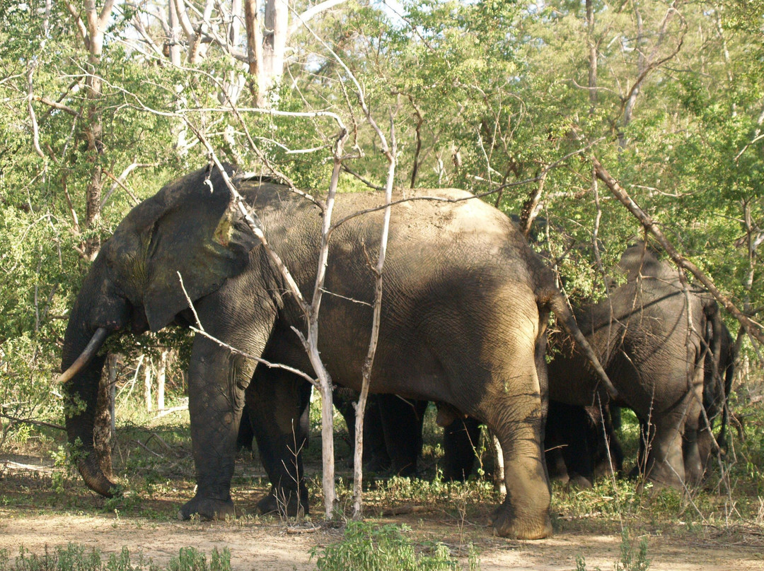Star Tours Ghana-Cape Coast必去景点