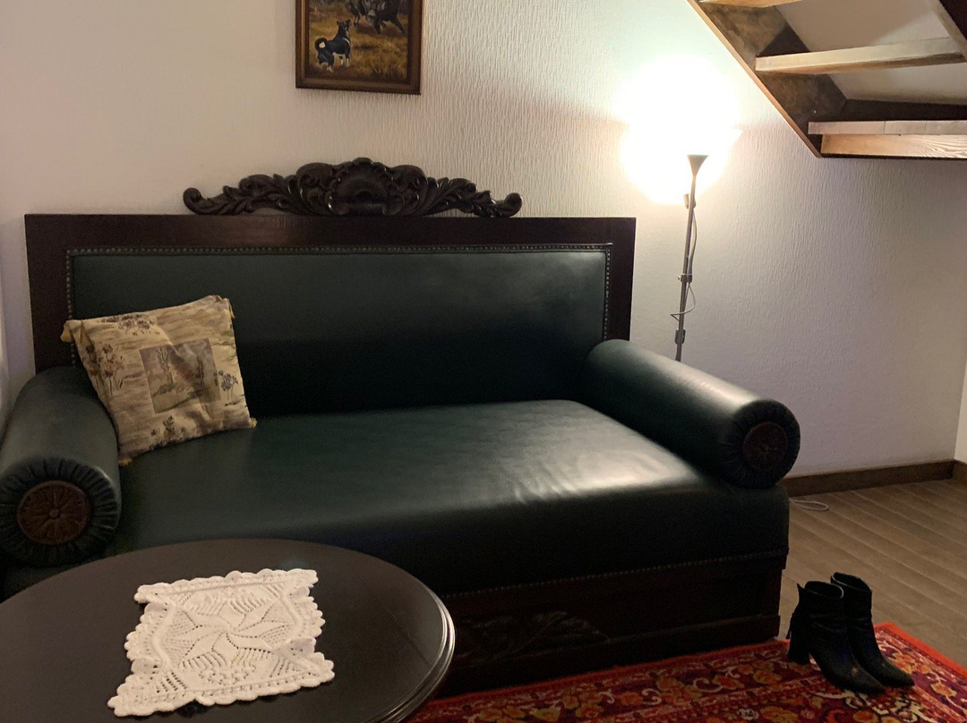 Raikomovskaya Hotel主图