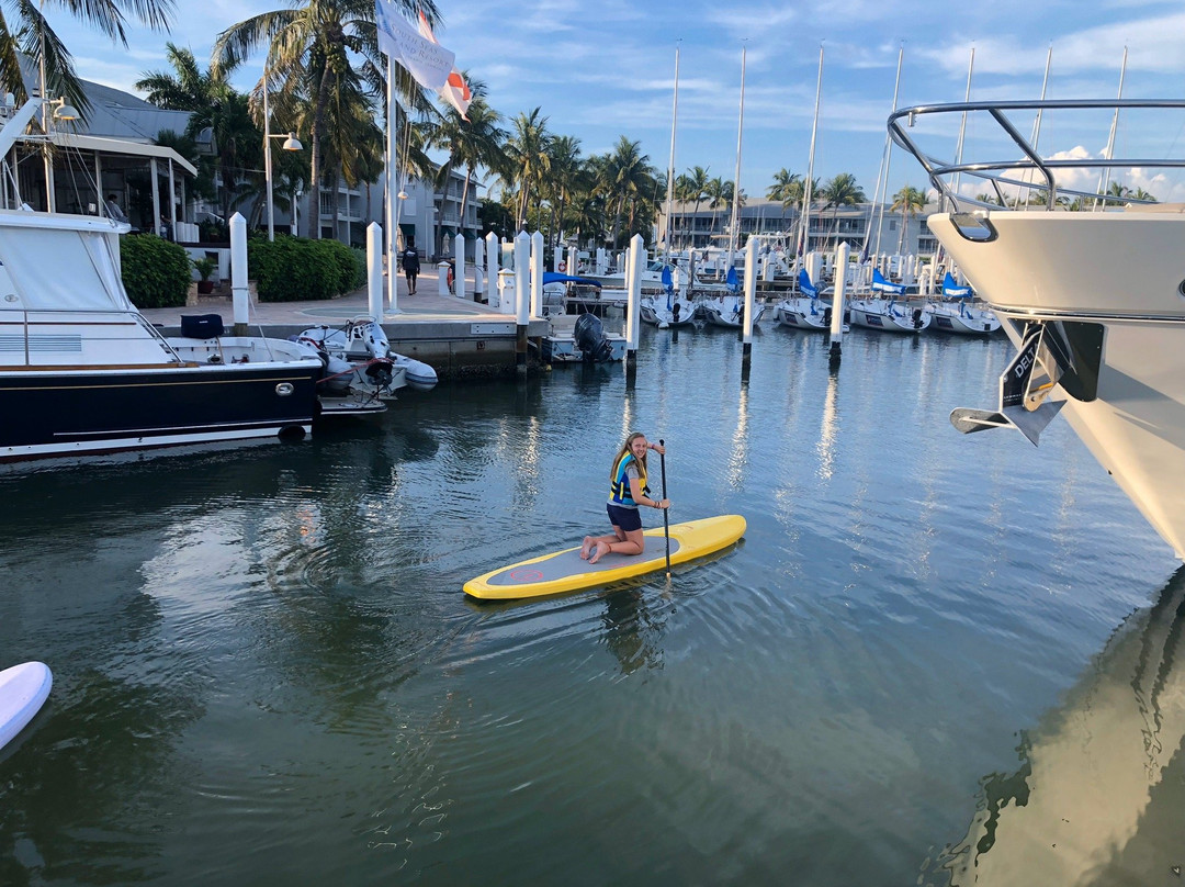 Ebb N Flow Sup Tours & Rentals景点图片