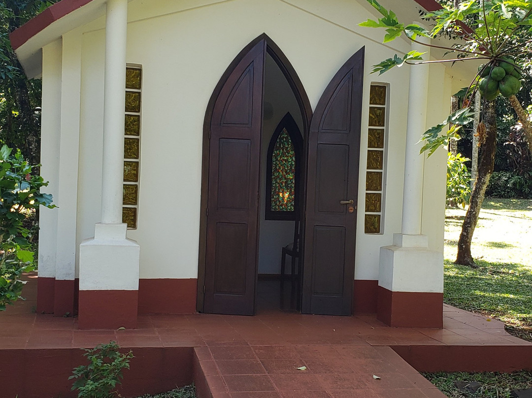 Orquideas Hotel & Cabanas主图