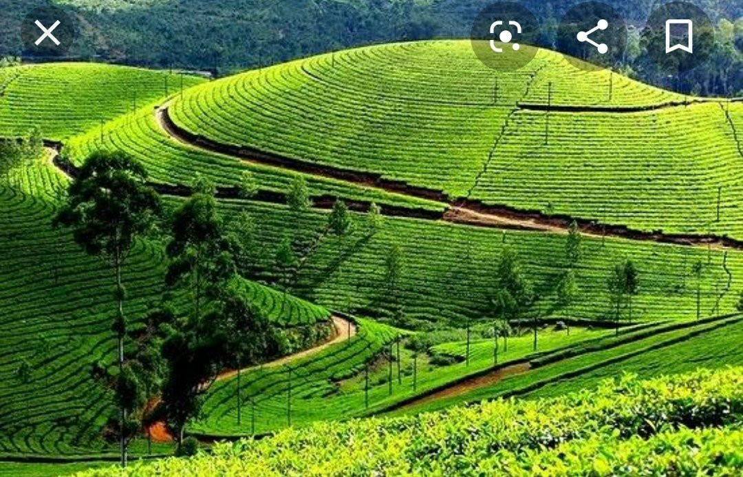 Munnar Black Forest Resort主图