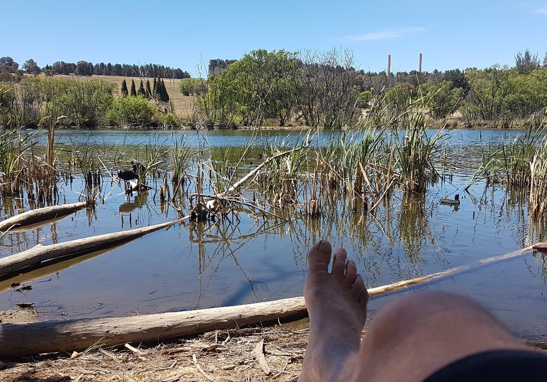 Lake Wallace-Wallerawang必去景点