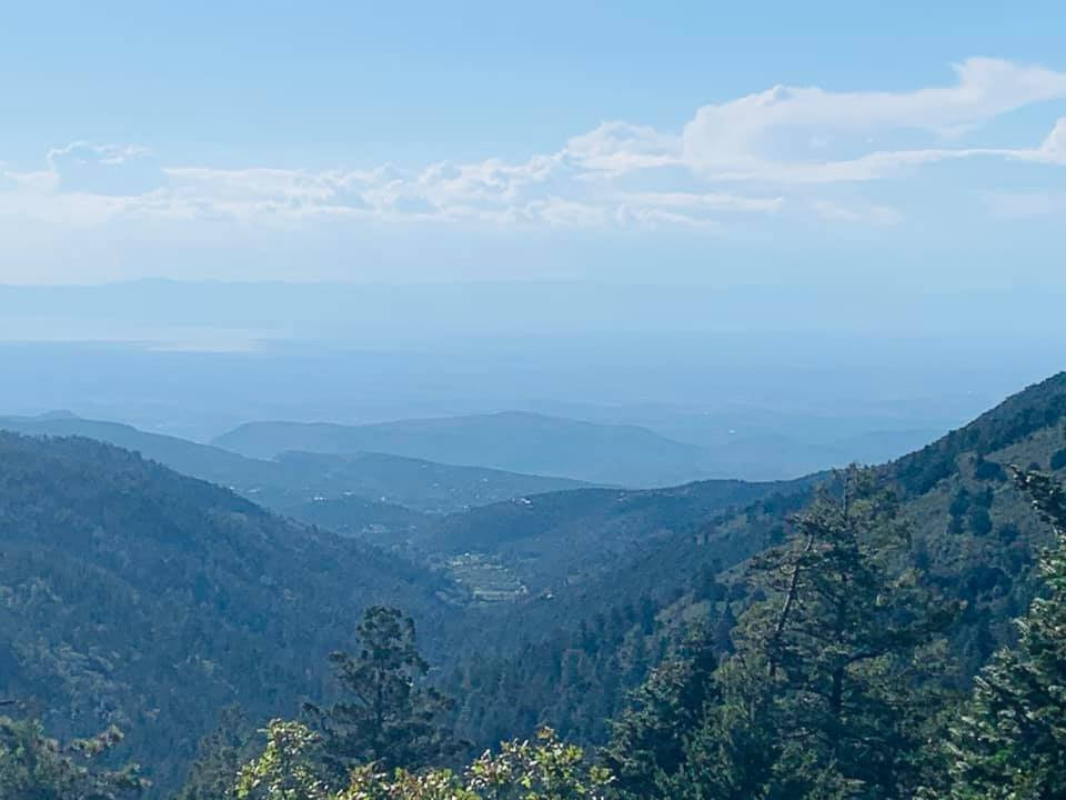 Spur Landing Real Estate & Lodging主图