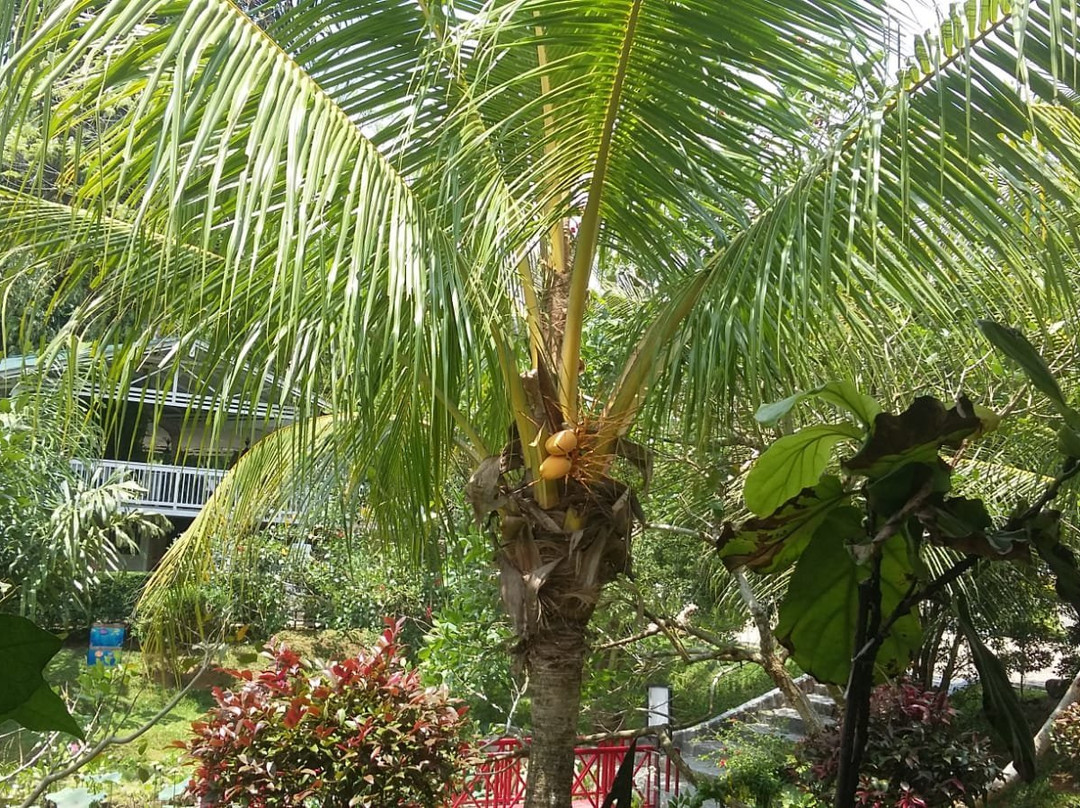 The Le Hu Garden-棉兰必去景点