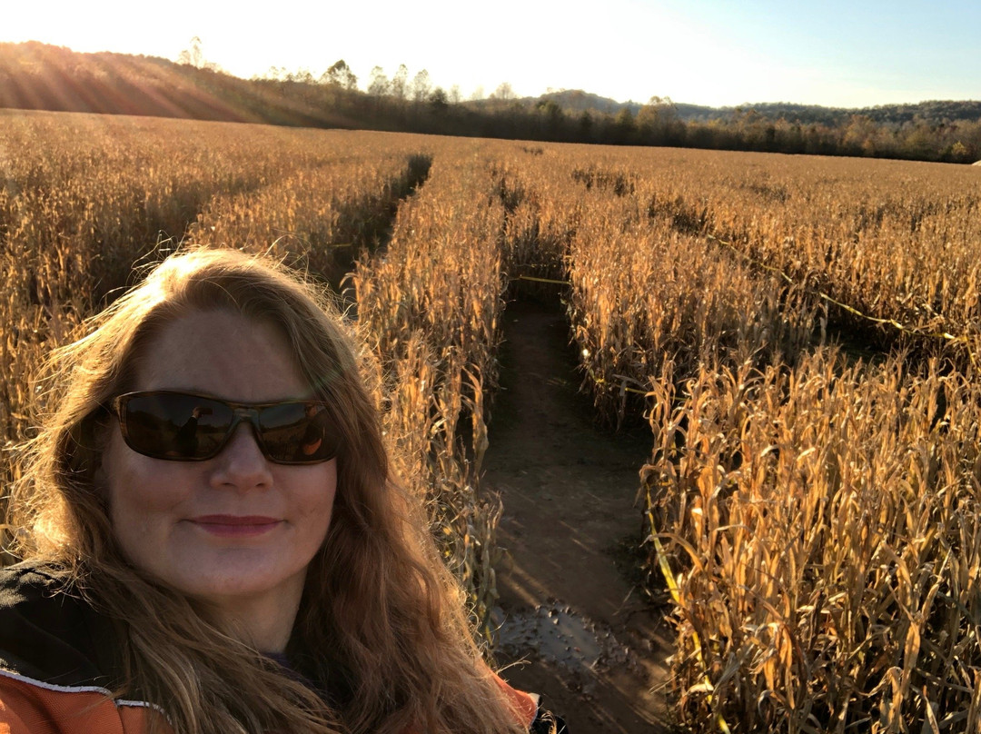 Uncle Shucks Corn Maze and Pumpkin Patch-道森维尔必去景点