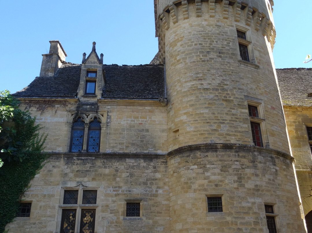 Château de Saint-Geniès景点图片