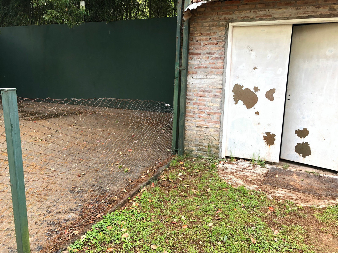 Howard Johnson Escobar Hotel主图