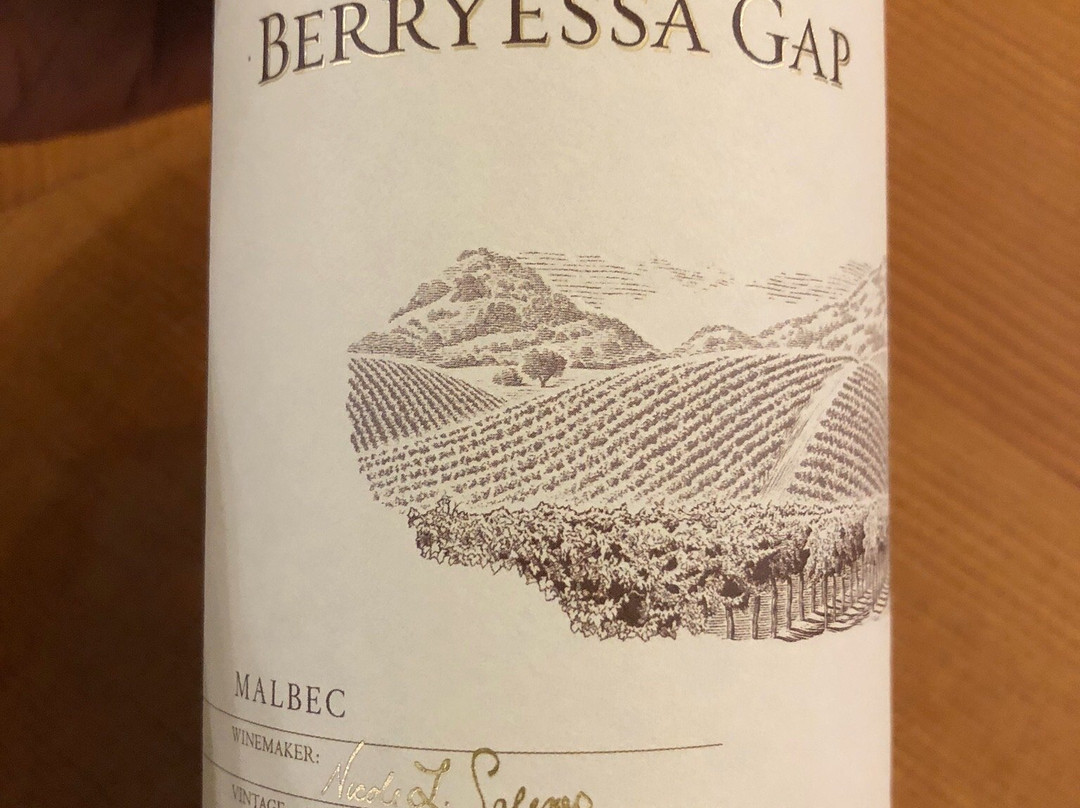 Berryessa Gap Vineyards (Winery)-Winters必去景点