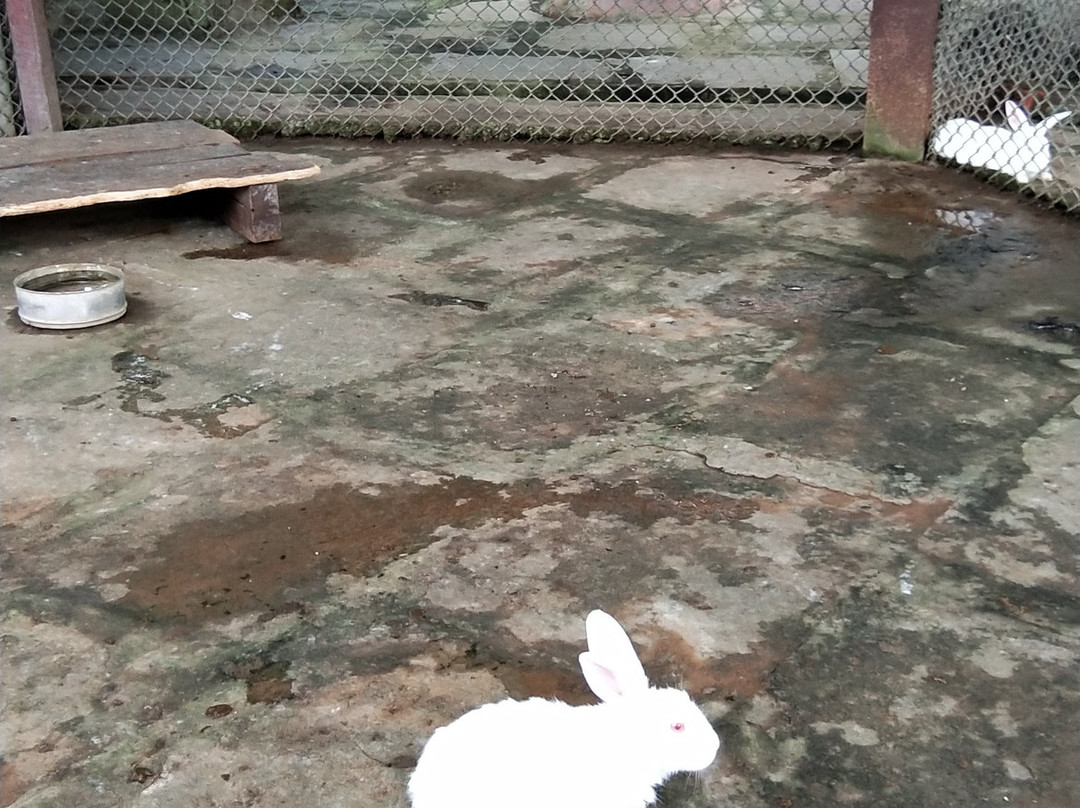 Karnala Bird Sanctuary景点图片