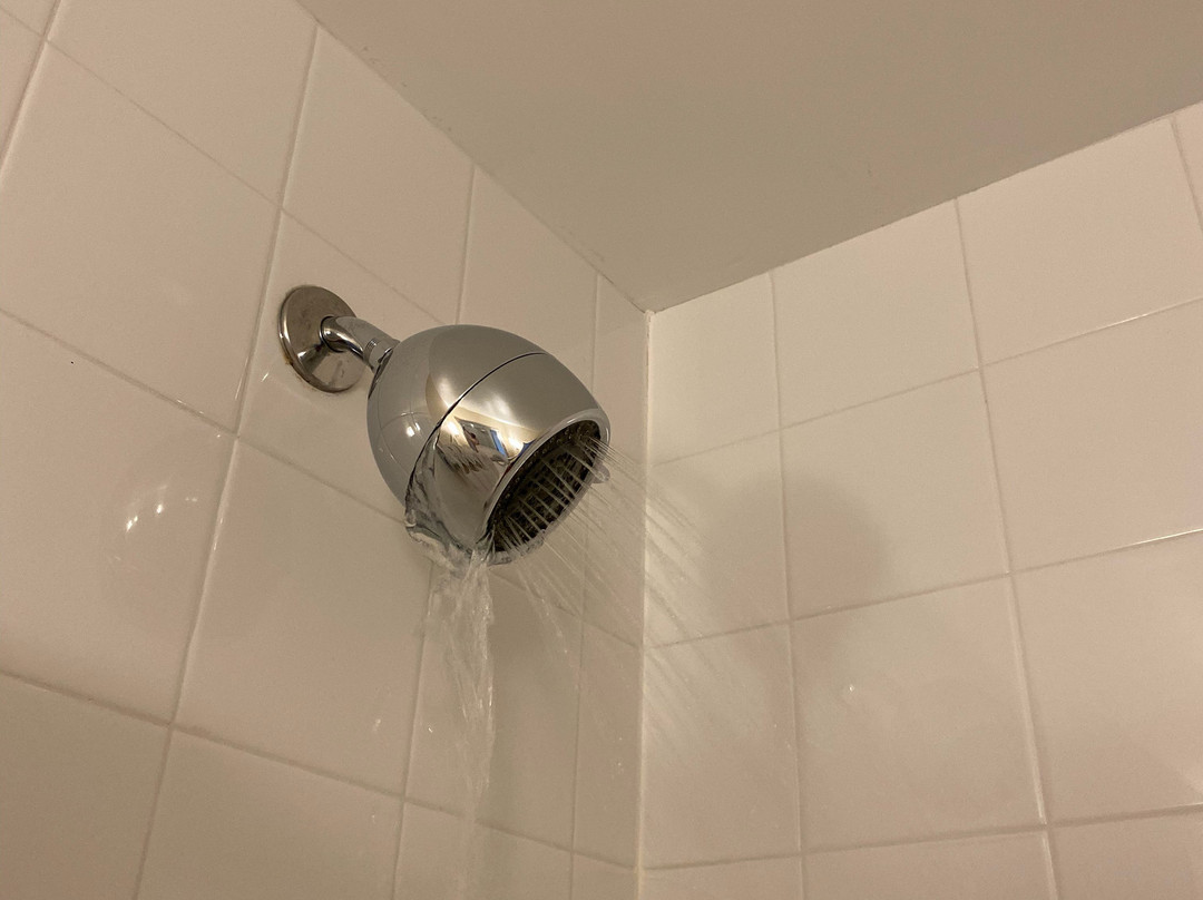 杰克逊市区希尔顿花园旅馆主图