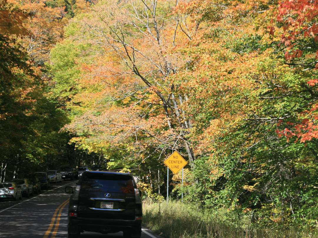 Stowe Mountain Resort景点图片