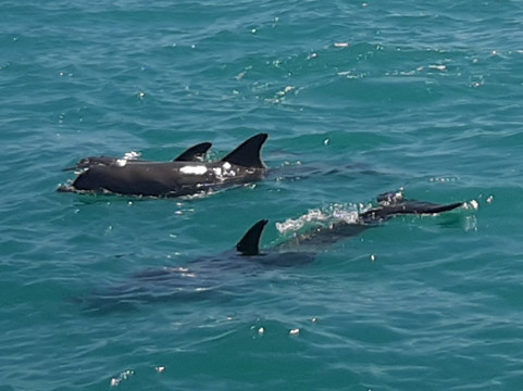 iTour-图伦必去景点