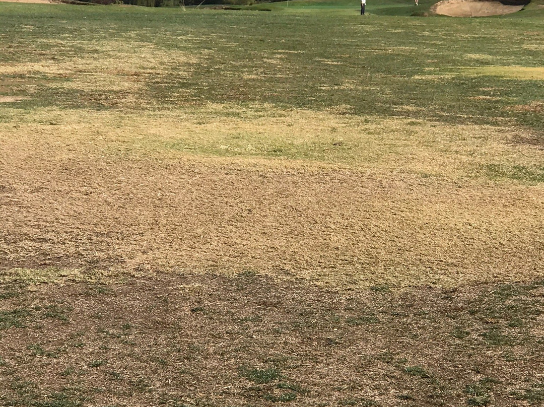 Morgan Creek Golf Course-罗斯维尔必去景点