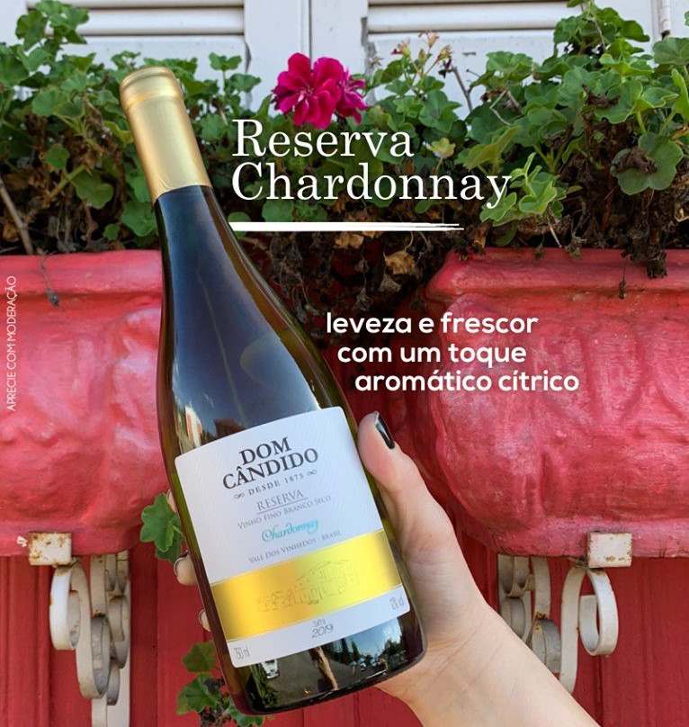 Vinicola Dom Cândido-本图贡萨尔维斯必去景点