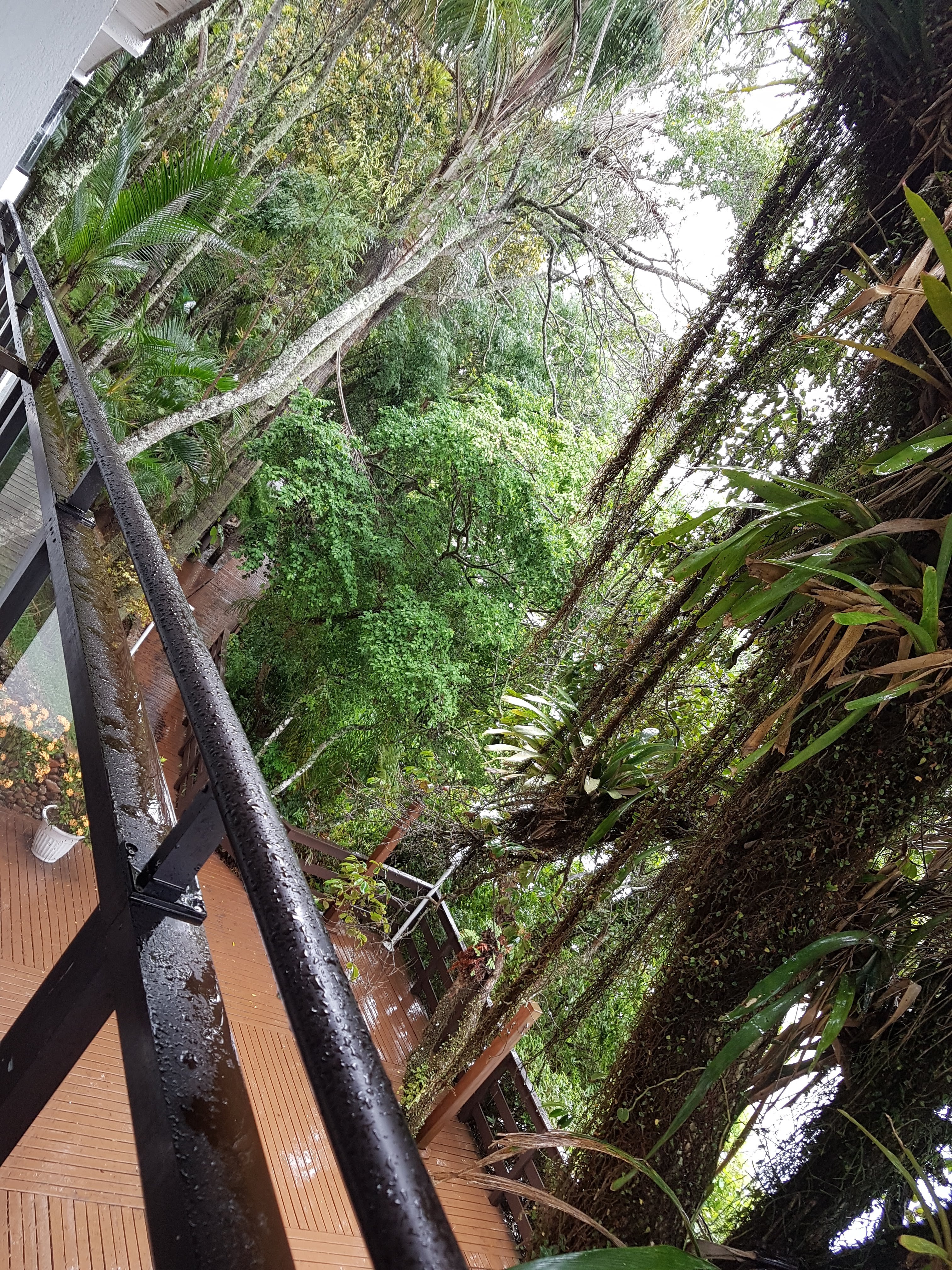 Bombinhas Tourist Apart Hotel-泳池