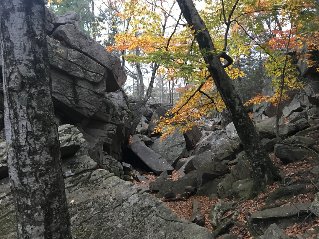 Purgatory Chasm State Reservation-Sutton必去景点