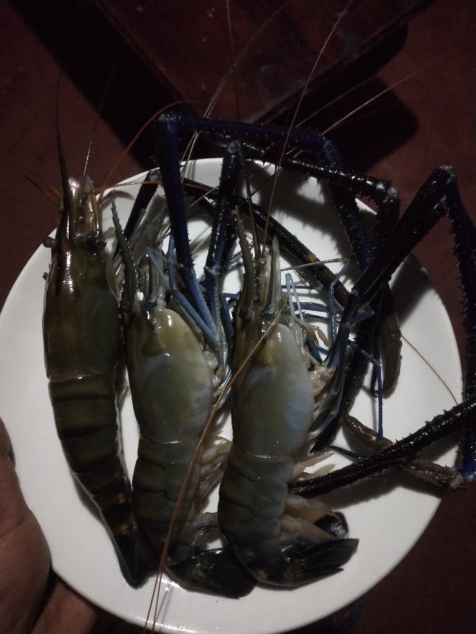 Shantitheeram Ayurveda-官方