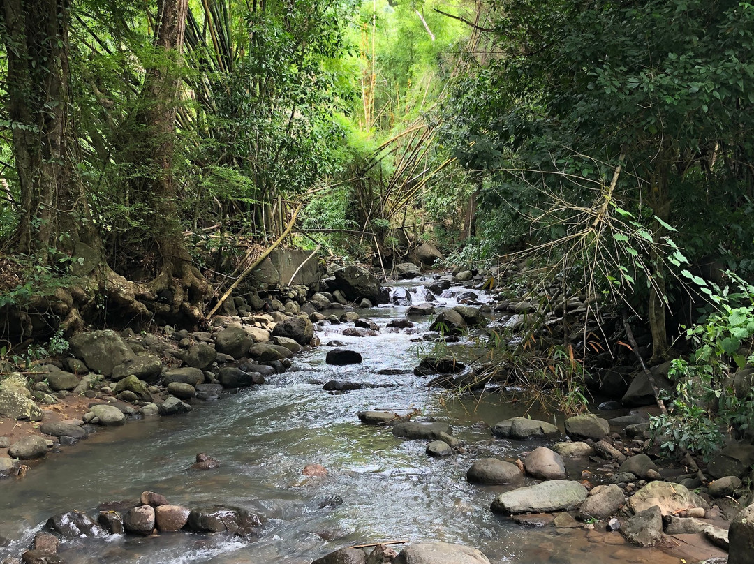 Black Bay Beach-格林纳达必去景点