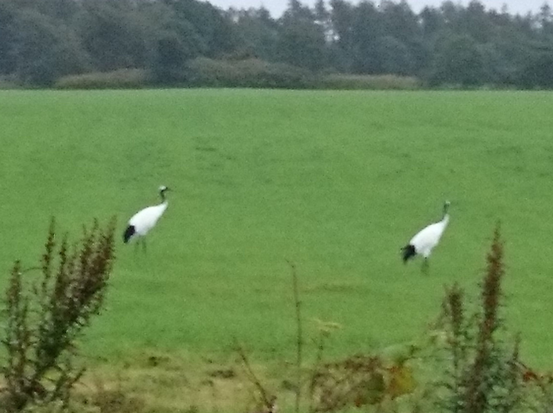 Salmon Road-标津町必去景点