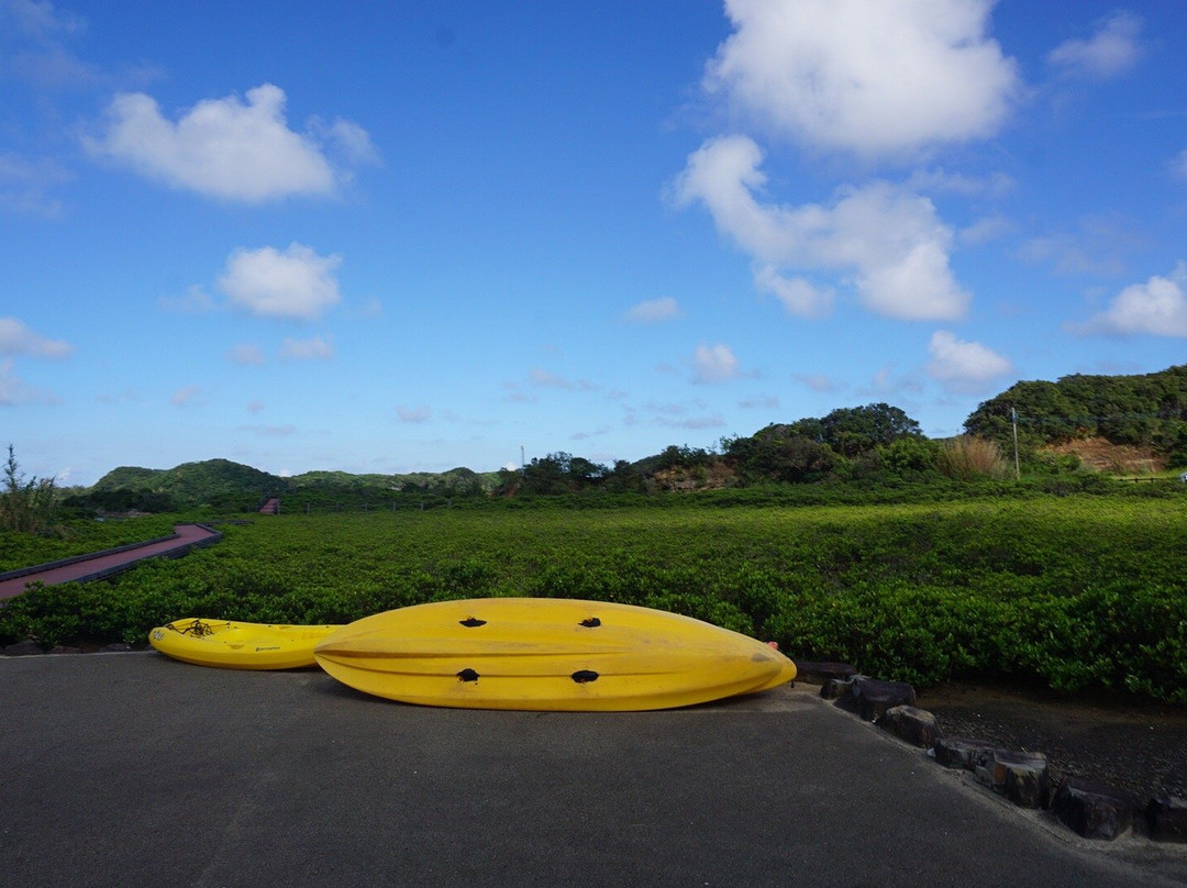 Tanegashima Mangrove Park-南种子町必去景点